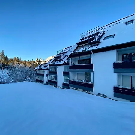 Waldgänger Hahnenklee Goslar