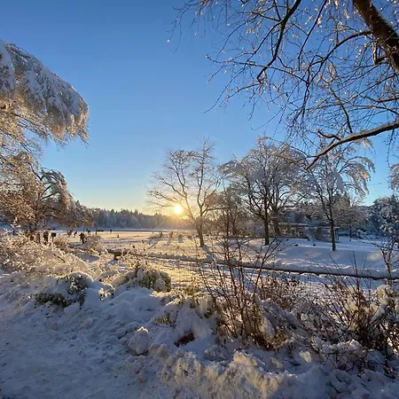 Waldgaenger Hahnenklee 아파트 고슬라르