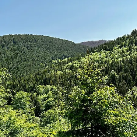 Waldgaenger Hahnenklee Appartement