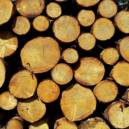 아파트 Waldgaenger Hahnenklee 고슬라르