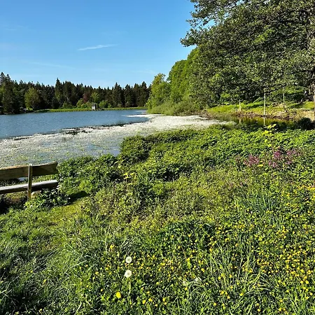 Waldgaenger Hahnenklee 아파트 고슬라르