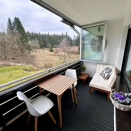 Waldgaenger Hahnenklee 아파트 고슬라르