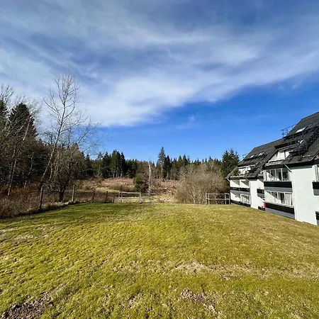 Waldgaenger Hahnenklee *