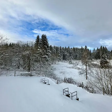 Waldgaenger Hahnenklee Appartement *