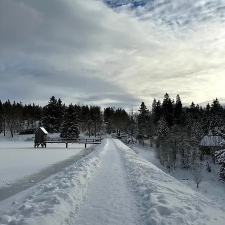 Waldgaenger Hahnenklee *