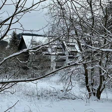 Waldgaenger Hahnenklee Apartment