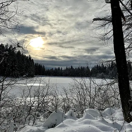 Waldgaenger Hahnenklee