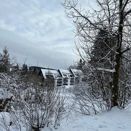 Waldgaenger Hahnenklee Apartment