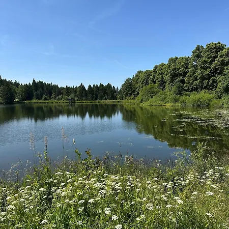 Waldgaenger Hahnenklee * Goslar