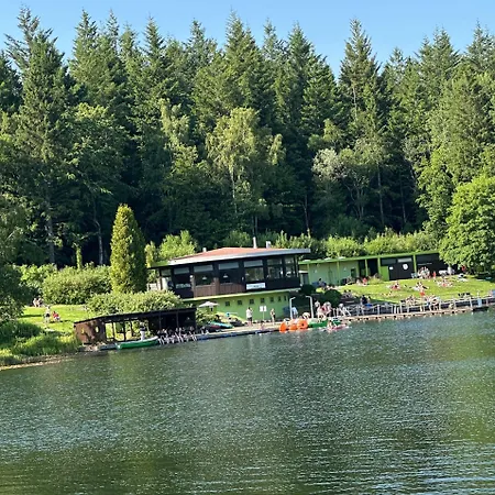 Waldgaenger Hahnenklee *