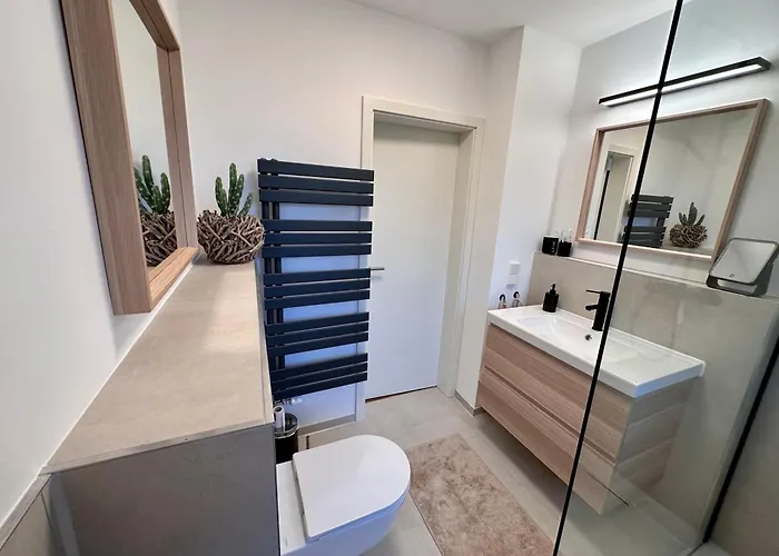 Waldgaenger Hahnenklee 公寓 *