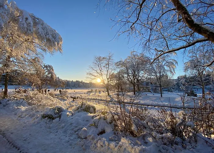 Waldgaenger Hahnenklee 公寓 戈斯拉尔
