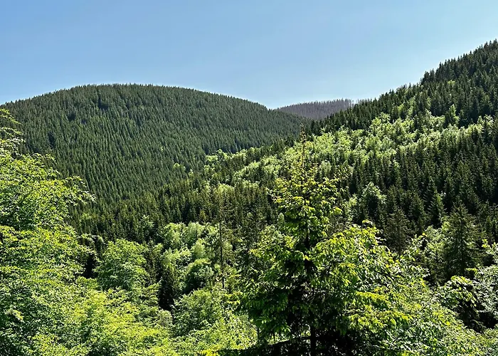 Waldgaenger Hahnenklee 公寓