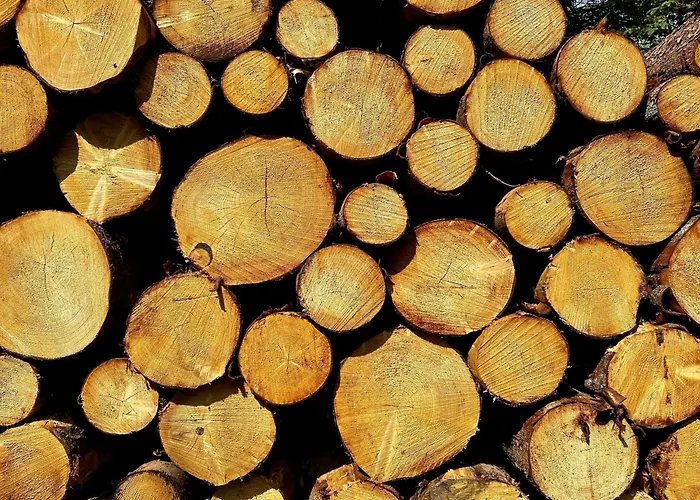 公寓 Waldgaenger Hahnenklee 戈斯拉尔