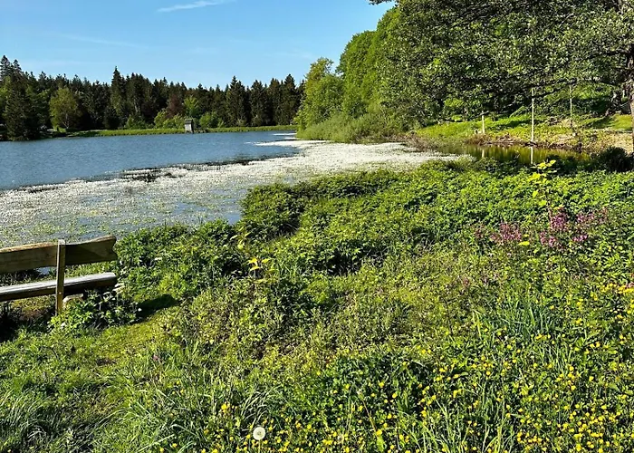 Waldgaenger Hahnenklee 公寓 戈斯拉尔