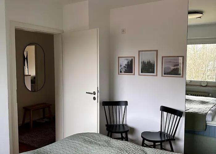 Waldgaenger Hahnenklee