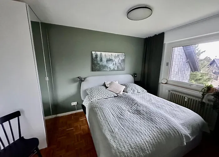 Waldgaenger Hahnenklee 公寓