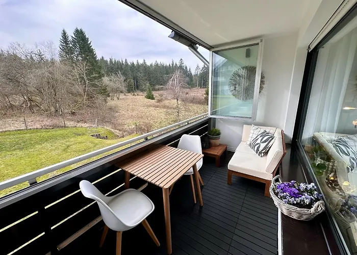 Waldgaenger Hahnenklee 公寓 戈斯拉尔