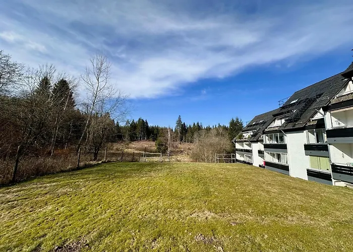 Waldgaenger Hahnenklee *