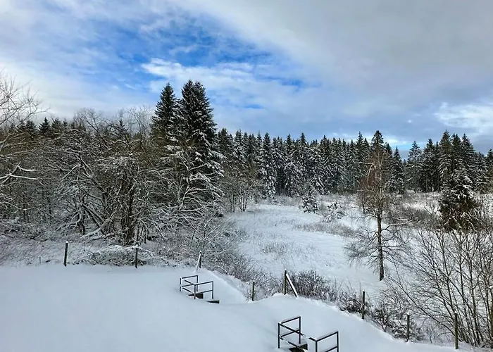 Waldgaenger Hahnenklee 公寓 *