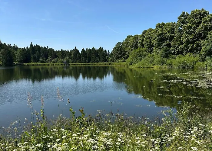 Waldgaenger Hahnenklee * 戈斯拉尔